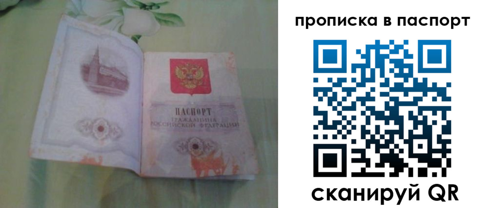 прописка для школы в Всеволожске